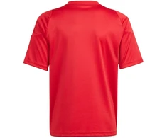 adidas Tiro 24 Jr marškinėliai IS1030