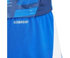 adidas Tiro 24 M IR9378 šortai