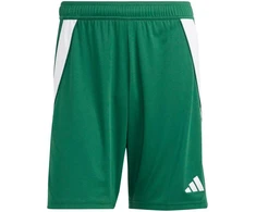 adidas Tiro 24 M IS1410 šortai