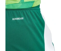 adidas Tiro 24 M IS1410 šortai