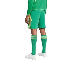 adidas Tiro 24 M IT2414 šortai