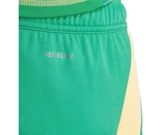adidas Tiro 24 M IT2414 šortai