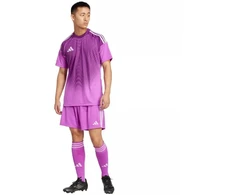adidas Tiro 24 M JI6089 šortai