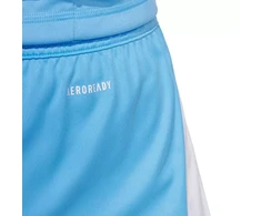 adidas Tiro 24 M JI6093 šortai
