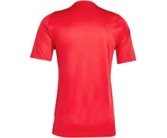 adidas Tiro 24 Marškinėliai Vyrams IS1016