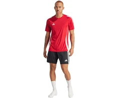 adidas Tiro 24 Marškinėliai Vyrams IS1016