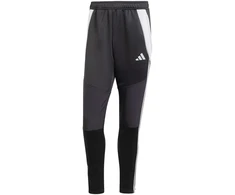 Adidas Tiro 24 Winterized M kelnės IM9974