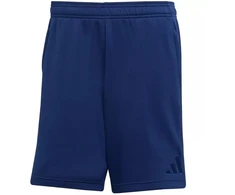 adidas Tiro 25 Kelioniniai šortai M JY5944