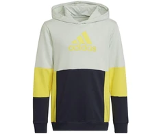 Adidas vaikiškas spalvoto blokų džemperis su gobtuvu HN8567