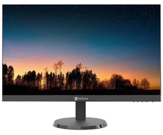 Ausinės AG NEOVO LED MONITORIUS LW-2403 BE MIRGĖJIMO, HDMI,DP