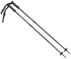 ALPINE SKI II slidžių lazdas