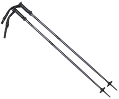 ALPINE SKI II slidžių lazdas