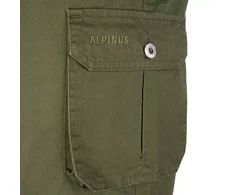 Alpinus Hekla M SI18154 šortai