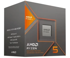 Ausinės AMD Ryzen 5 8600G procesorius