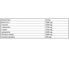 Amino rūgščių papildas Anticatabolix 375g FA Nutrition