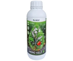 Amino rūgštys AMINO KELP-O su dumblių ekstraktu, 1 l