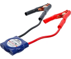 APSAUGA NUO VIRŠĮTAMPIO | 12 V (9620)