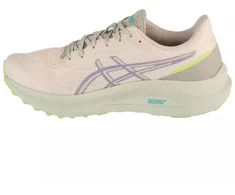 Asics GT-1000 13 TR M 1011C043-300 batai