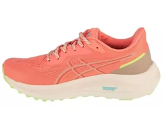 Asics GT-1000 13 TR W 1012B828-700 bėgimo bateliai