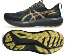 Asics GT-1000 14 GTX M 1011C078 001 bėgimo bateliai