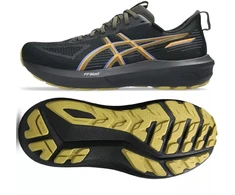Asics GT-1000 14 GTX M 1011C078 001 bėgimo bateliai