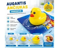 Augantis ančiukas vandenyje