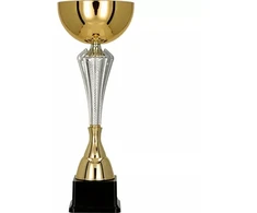 Auksinė ir sidabrinė metalinė taurė
