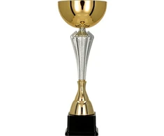 Auksinė ir sidabrinė metalinė taurė