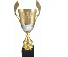Auksinė ir sidabrinė metalinė taurė 4128A