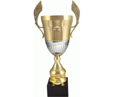 Auksinė ir sidabrinė metalinė taurė 4128B
