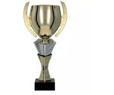 Auksinė ir sidabrinė metalinė taurė