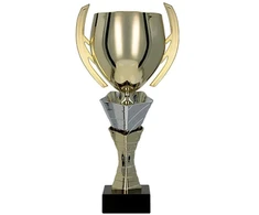 Auksinė ir sidabrinė metalinė taurė