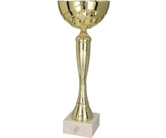 Auksinė metalinė taurė TM 9059F