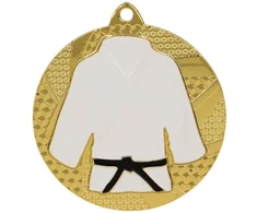 Auksinis medalis džudo/karate