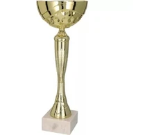 Auksinis metalinis puodelis TM 9059D