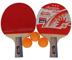AURORA SG6166 stalo teniso rinkinys
