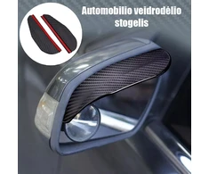 Automobilio veidrodėlio stogelis "Carbon"