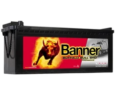 Banner 225Ah 1150A Buffalo Bull PRO akumuliatorius 12V 517x273x212/240mm