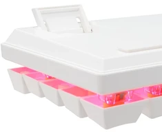 Baracuda Dolphin mechaninė žaidimų klaviatūra, US išdėstymas, Mėlyna Switches, Baltas (BGK-03221)