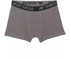 Berniukų apatiniai šortai 4F M061, 3 vnt. pakuotė, įvairių spalvų 1 4FJWAW25UBXSM061 91S
