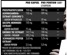 Big Zone C.S.A. 60 Kapseln