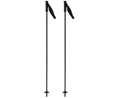 Blue Slidinėjimo lazdos ROSSIGNOL ELECTRA PREMIUM CARBON Mėlynas