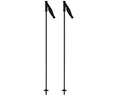 Slidinėjimo lazdos ROSSIGNOL ELECTRA PREMIUM CARBON Mėlynas