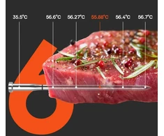 Bluetooth mėsos termometras Meatmeet S Pro, pilkas