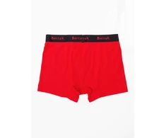 Bokseriai-BR-BK-4476.28P-raudona