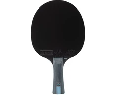 BŪSIMOJI 3 ŽVAIGŽDUČIŲ raketa