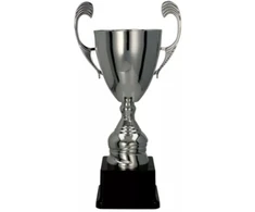 CUP 4105C
