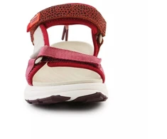D. Franklin Sneaker Basutės Su Juostelėmis W DFSH406003-Burg