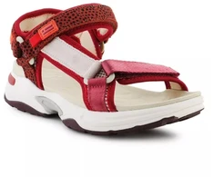 D. Franklin Sneaker Basutės Su Juostelėmis W DFSH406003-Burg