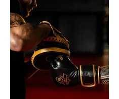 Daugiasluoksnės bokso pirštinės – ProFighter Gold – Legacy serija